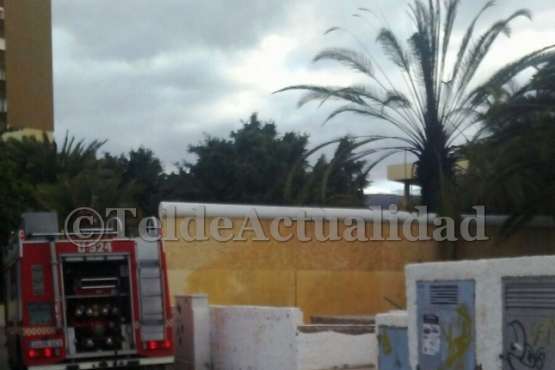 Incendio provocado a palmeras del colegio Europa (Foto Benito Zurita Pérez)